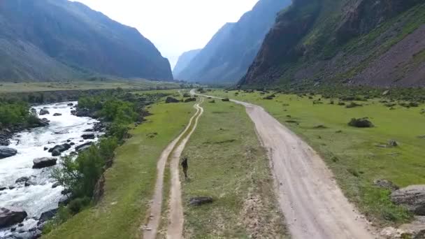 空気から Chulyshman 渓谷と川を見る。ロシアのアルタイ共和国 — ストック動画