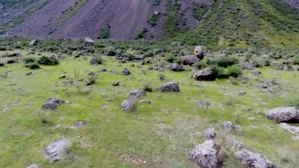Chulyshman 계곡과 강에 공중에서 볼. 알타이, 러시아의 공화국 — 비디오