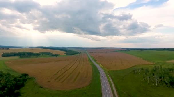 Вид з повітря поля, ліс і дороги в Красноярському краї. Росія — стокове відео