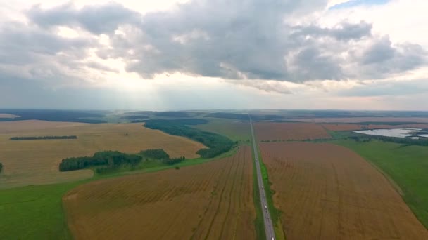 フィールド、森林、クラスノヤルスク地域で道路に空気からの眺め。ロシア — ストック動画