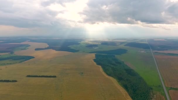 フィールド、森林、クラスノヤルスク地域で道路に空気からの眺め。ロシア — ストック動画