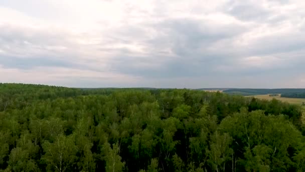 Una vista desde el aire a los campos, bosque y carretera en el Territorio de Krasnoyarsk. Rusia — Vídeo de stock