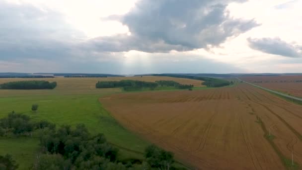 Une vue aérienne sur les champs, la forêt et la route dans le territoire de Krasnoïarsk. Russie — Video