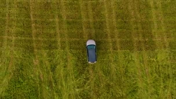 Вид з повітря нескінченні поля, пагорби, стогах сіна і небо перед бурею Республіка Хакасія. Росія — стокове відео