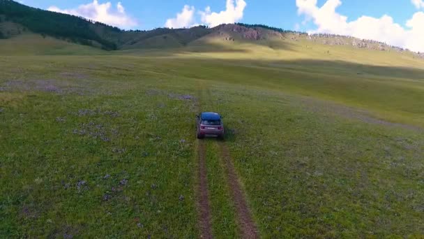 Une vue de l'air aux prairies verdoyantes, collines au loin et une voiture hors route dans la République de Khakassie. Russie — Video