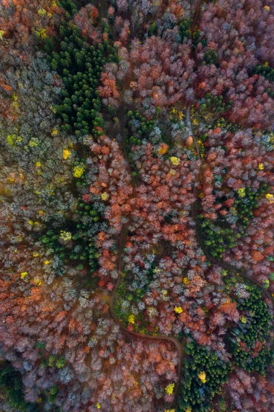 Vista aérea del castillo de Hohenzollern durante la puesta del sol brillante. Alemania en el otoño —  Fotos de Stock