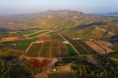 Gün batımında vadinin havadan görünüşü, zeytin tarlaları ve Forata rezervuarı. İspanya 'da yaz
