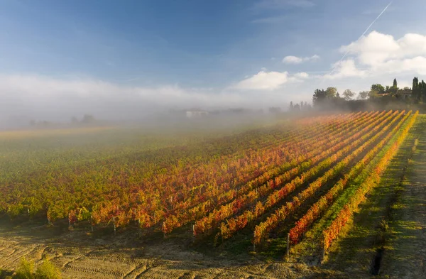 Veduta aerea di un paesaggio rurale durante l'alba in Toscana. Azienda agricola, vigneti, campi verdi, luce solare e nebbia. Italia, Europa . — Foto Stock