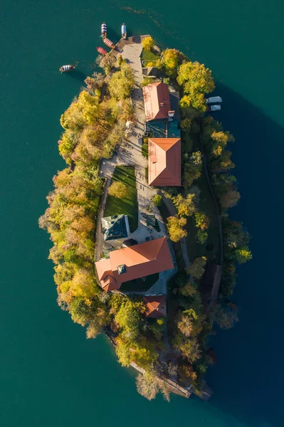 Légi kilátás a színes erdő és a Bled-tó egy kis sziget egy templommal. Napkelte Szlovéniában ősszel. — Stock Fotó