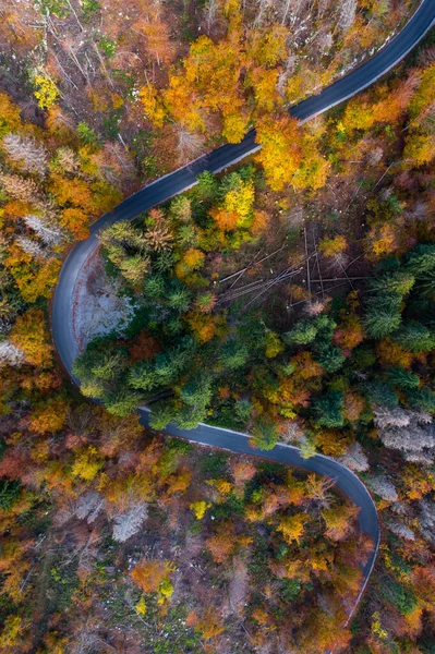 Aerial view of the road among colorful trees. Slovenia in the autumn. — Stock Photo, Image