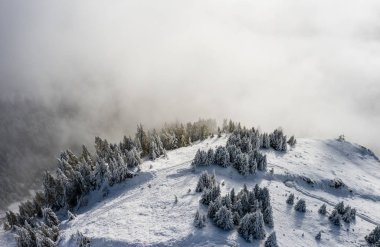 Aletsch Arena bölgesinde taze kar ve bulutlarla kaplı bir ormanın havadan görünüşü. Sonbaharda İsviçre