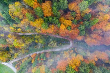 Renkli ağaçların arasındaki yolun havadan görünüşü. Slovenya sonbaharda.