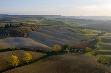 Tarlaların havadan görünüşü, San Quirico Dorcia yakınlarındaki şaraphaneler. Tuscany sonbahar gündoğumu