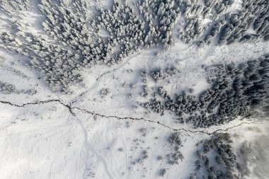 Aletsch Arena bölgesinde taze kar ve bulutlarla kaplı bir ormanın havadan görünüşü. Sonbaharda İsviçre