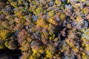 La Mongie köyü yakınlarındaki ilk kardan sonra vadi ve dağların havadan görünüşü. Fransa Pireneleri
