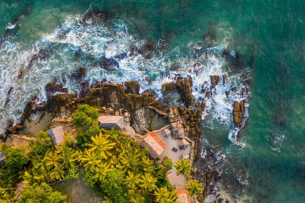 Flygfoto av palmer, Indian Oken kust och bungalows. Ön Sri Lanka. — Stockfoto