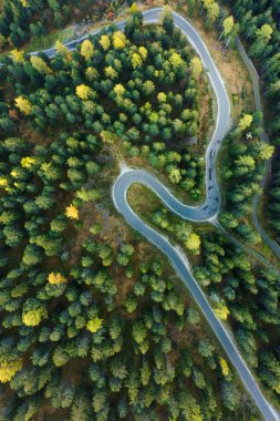 Güney Tyrol 'daki dağların, sonbahar ormanlarının ve yolların havadan görünüşü. İtalya 'yı Dolomitler