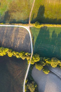 Tarlaların havadan görünüşü, San Quirico Dorcia yakınlarındaki şaraphaneler. Tuscany sonbahar gündoğumu