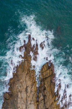 Gün batımında palmiye ağaçlarının ve Hint Oken kıyı şeridinin havadan görünüşü. Sri Lanka Adası.
