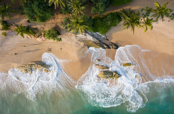 Gün batımında palmiye ağaçlarının ve Hint Oken kıyı şeridinin havadan görünüşü. Sri Lanka Adası.