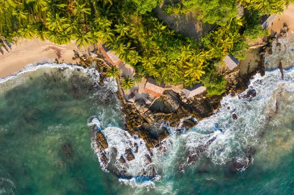 Palmiye ağaçlarının havadan görünüşü, Hint Oken kıyı şeridi ve bungalovlar. Sri Lanka Adası.
