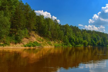 Yeşil sahil ve bulutlar ile nehrin görünümü