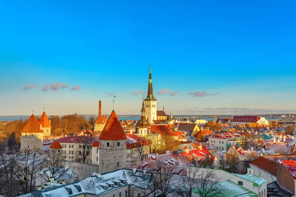 La ciudad de Tallin. Estonia. Nieve en los árboles en invierno — Foto de Stock