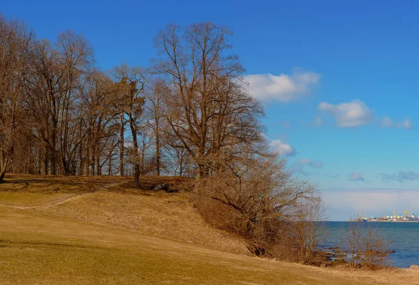 Costa rocca al mare a Tallinn primavera — Foto Stock