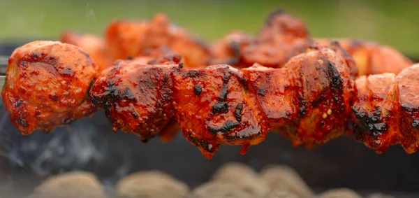 Gegrilde vleesspiesen, barbecue — Stockfoto