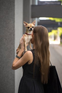 Onu köpek sokakta yürüyen genç moda kadın