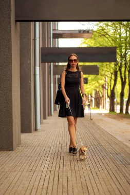 Onu köpek sokakta yürüyen genç moda kadın