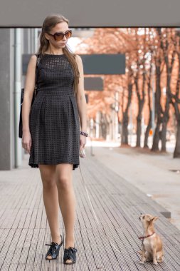 Onu köpek sokakta yürüyen genç moda kadın