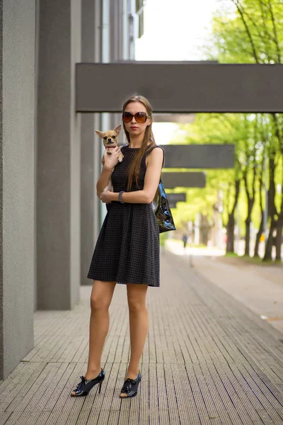 Joven mujer de la moda, paseando a su perro — Foto de Stock