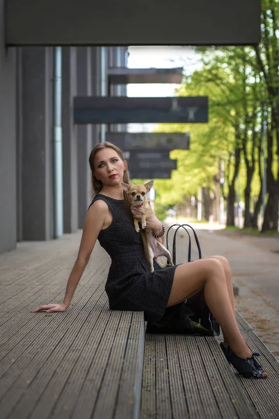 Joven mujer de la moda, sentado con su perro en las escaleras —  Fotos de Stock