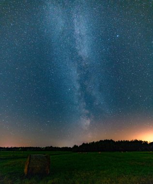 Mavi karanlık gece gökyüzüne alan ağaçların yukarıda birçok yıldız ile.