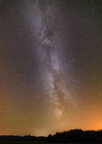 Ciel nocturne bleu foncé avec de nombreuses étoiles au-dessus du champ d'arbres . — Photo