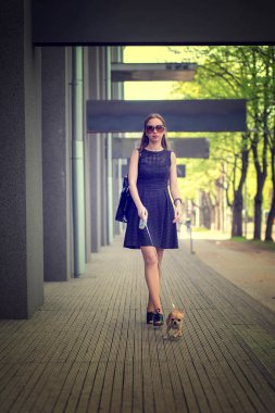 Onu köpek sokakta yürüyen genç moda kadın
