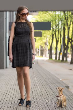 Onu köpek sokakta yürüyen genç moda kadın