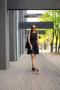 Onu köpek sokakta yürüyen genç moda kadın