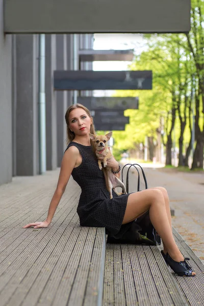 onun köpeği merdivenlerde oturan genç moda kadın