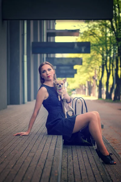 Молодая модная женщина, сидящая со своей собакой на лестнице — стоковое фото