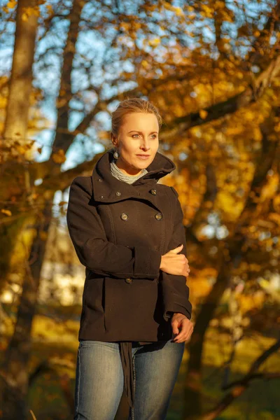 Piękna kobieta stwarzających w parku, jesień — Zdjęcie stockowe