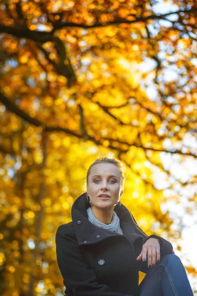 Piękna kobieta stwarzających w parku, jesień — Zdjęcie stockowe