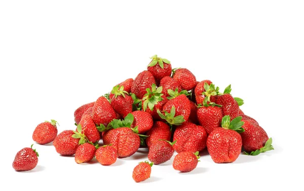 Beaucoup de fraises rouges fraîches lavées — Photo