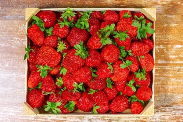 Blick von oben auf leckere spanische Erdbeeren, frisch gesammelt auf einer Holzkiste — Stockfoto