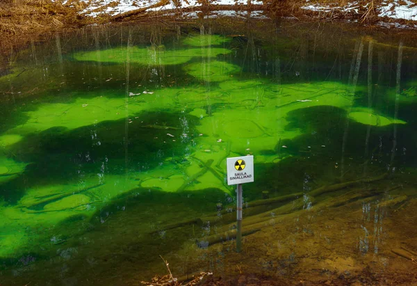 美丽的森林喷泉湖与清澈的绿松石水和污渍在森林的底部 — 图库照片