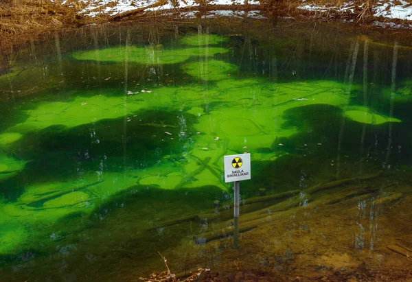 Beautiful forest geyser lake with clear turquoise water and stains on the bottom in a forest — Stock Photo, Image