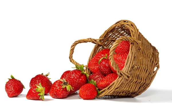 草莓和篮子被隔离在白色背景上. — 图库照片