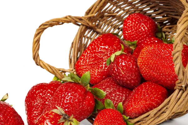 Fresas y cesta aisladas sobre fondo blanco . — Foto de Stock