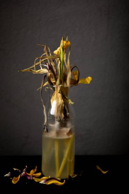 Covid-19 Coronavirus Hastalığı Virüsü